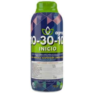10-30-10 Inicio