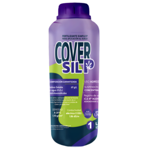 Cover Sil P