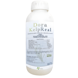 Dora KelpReal™ Líquido