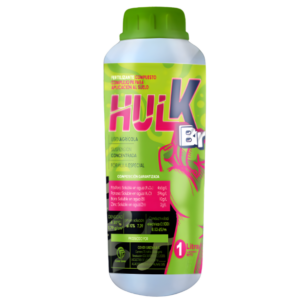 Hulk Br