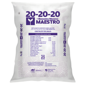 Maestro 20-20-20
