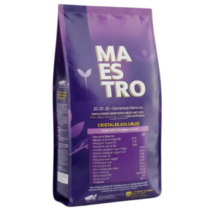 MAESTRO 20-20-20 + Elementos Menores